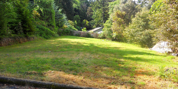 Forest View Land